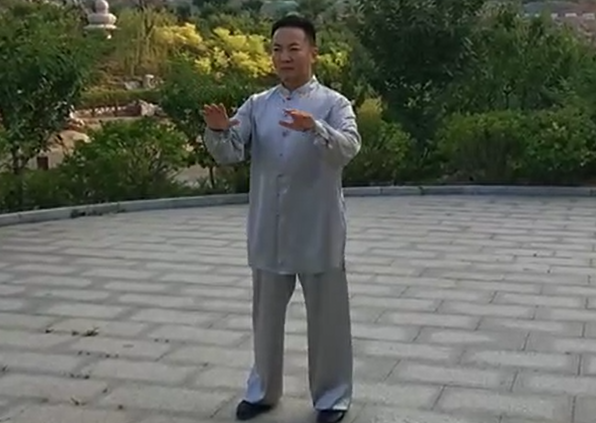 传统杨氏太极拳85式-赵幼斌弟子苏河