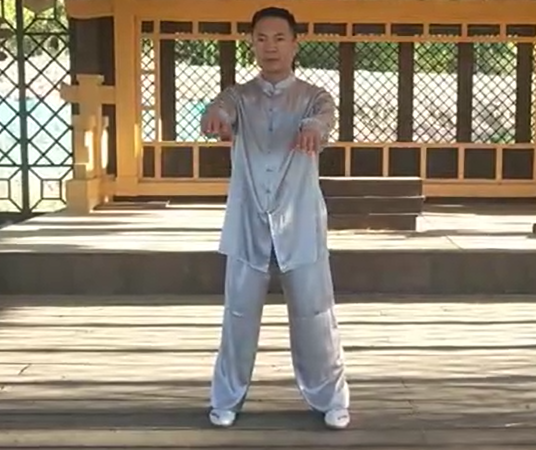 传统杨式太极拳37式_赵幼斌弟子苏河