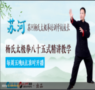 杨氏太极拳八十五式精讲教学